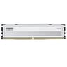 16GB DDR5 6000 CL30 KLEV FIV W