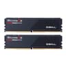 32GB DDR5 5200 GSKILL CL40