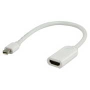 ADAP.MINI DPT MH P/HDMI FM 20C