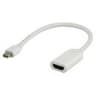 ADAP.MINI DPT MH P/HDMI FM 20C