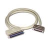 CABO SCSI C50/C50  ALTDENS