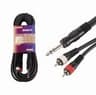 CAB.AUD.PRO.J.6.35MMX2RCA M.6M