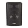 COLUNA 2 VIAS 300W 89DB