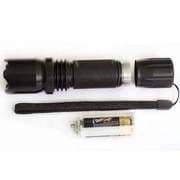 LANTERNA PROFISSION.LED 1W UV