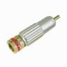 RCA MACHO PRO.OURO ANEL VERMEL