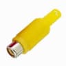 FICHA RCA FEMEA-AMARELO