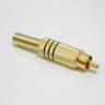 FICHA RCA MACHO OURO PRET