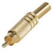 FICHA RCA MACHO OURO AMARELA