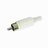 FICHA RCA MACHO BRANCO
