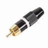 FIC.RCA MACHO ESP.BRANCA